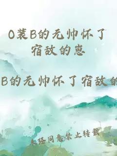 O裝B的元帥懷了宿敵的崽