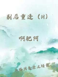 別后重逢（H）
