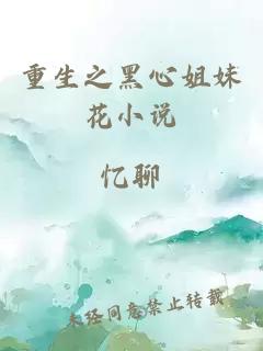 重生之黑心姐妹花小說(shuō)
