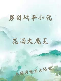 男團(tuán)戰(zhàn)爭(zhēng)小說(shuō)