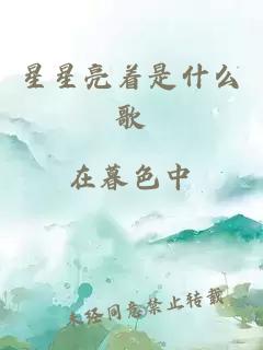 星星亮著是什么歌
