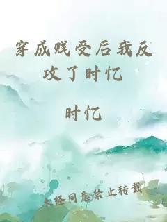 穿成賤受后我反攻了時(shí)憶