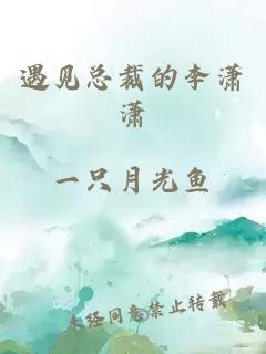 遇見總裁的李瀟瀟