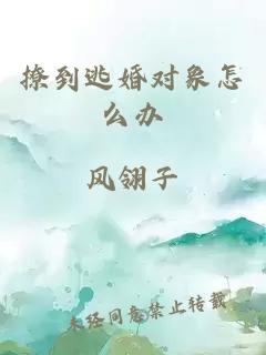 撩到逃婚對(duì)象怎么辦