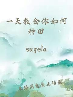 一天教會你如何種田