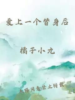 愛上一個(gè)替身后