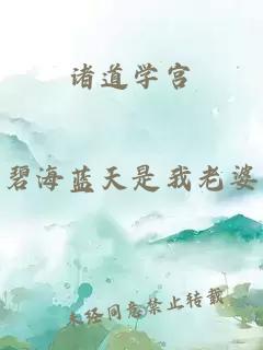 諸道學(xué)宮