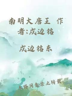 南明大唐王 作者:戍邊銘
