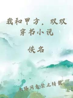 我和甲方，雙雙穿書小說