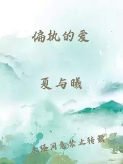 偏執(zhí)的愛