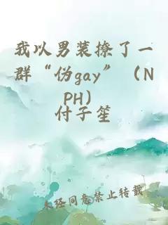 我以男裝撩了一群“偽gay”（NPH）