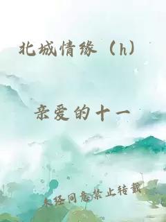 北城情緣（h）