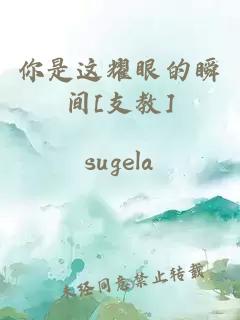 你是這耀眼的瞬間[支教]