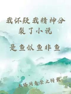 我懷疑我精神分裂了小說