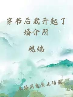 穿書后我開起了婚介所