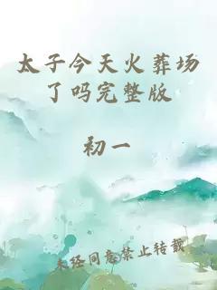 太子今天火葬場了嗎完整版