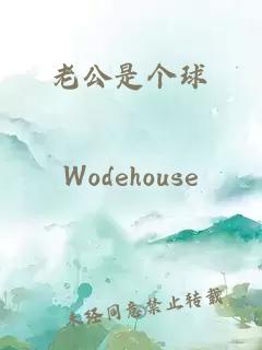 老公是個(gè)球