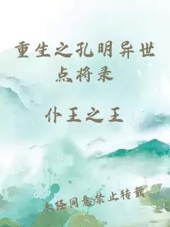 重生之孔明異世點將錄