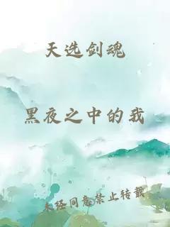 天選劍魂