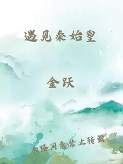 遇見(jiàn)秦始皇