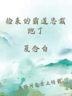 撿來(lái)的霸道總裁跑了