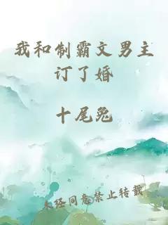 我和制霸文男主訂了婚