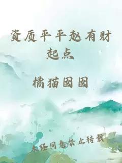資質(zhì)平平趙有財(cái)起點(diǎn)