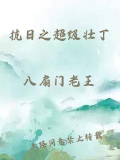 抗日之超級(jí)壯丁