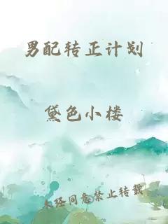 男配轉(zhuǎn)正計(jì)劃