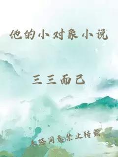 他的小對象小說
