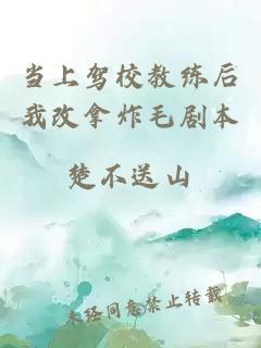 當(dāng)上駕校教練后我改拿炸毛劇本